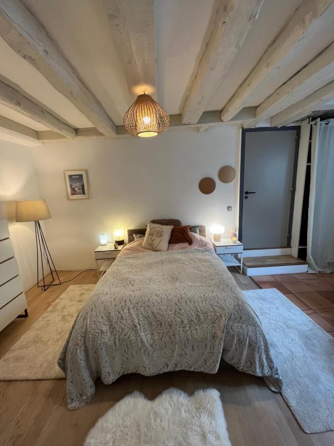 Good Vibes Apartment Гренобъл Екстериор снимка